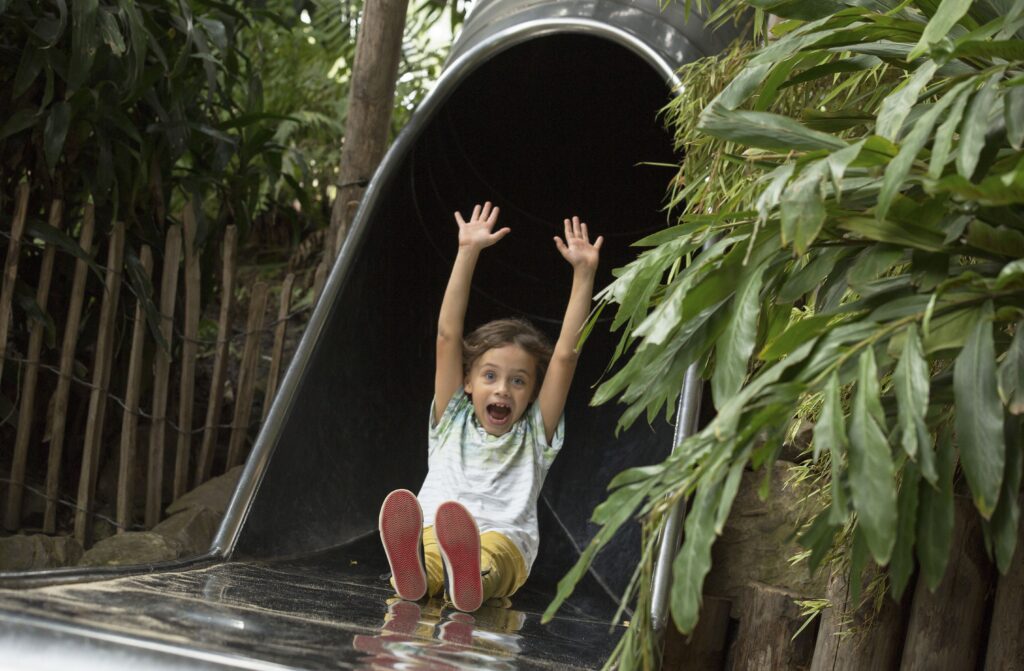 Bron: Ouwehands dierenpark