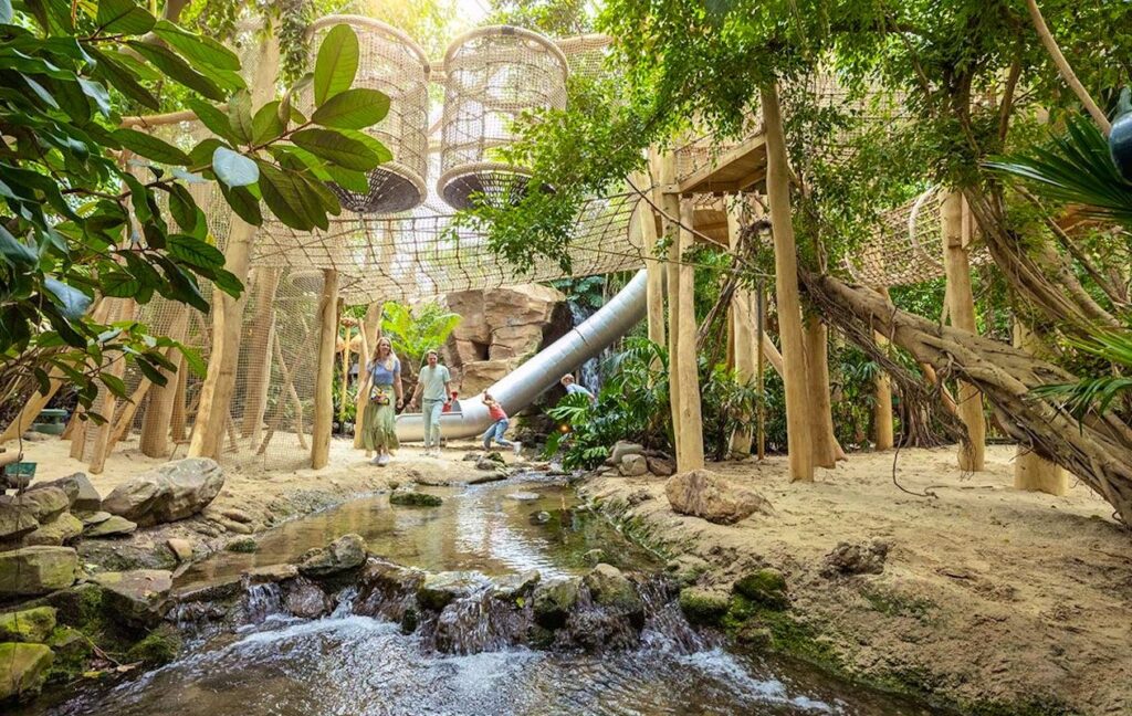 Kinderen en volwassenen spelen in een groene Jungle Dome met bomen, houten klimrekken, touwen, glijbanen en een beekje.