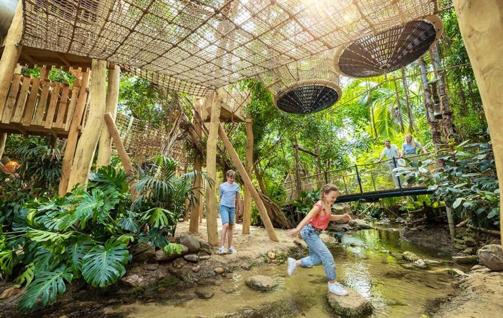 Kinderen spelen en ontdekken tussen boomhutten, bruggen en veel groen in de Jungle Dome, terwijl volwassenen toekijken.