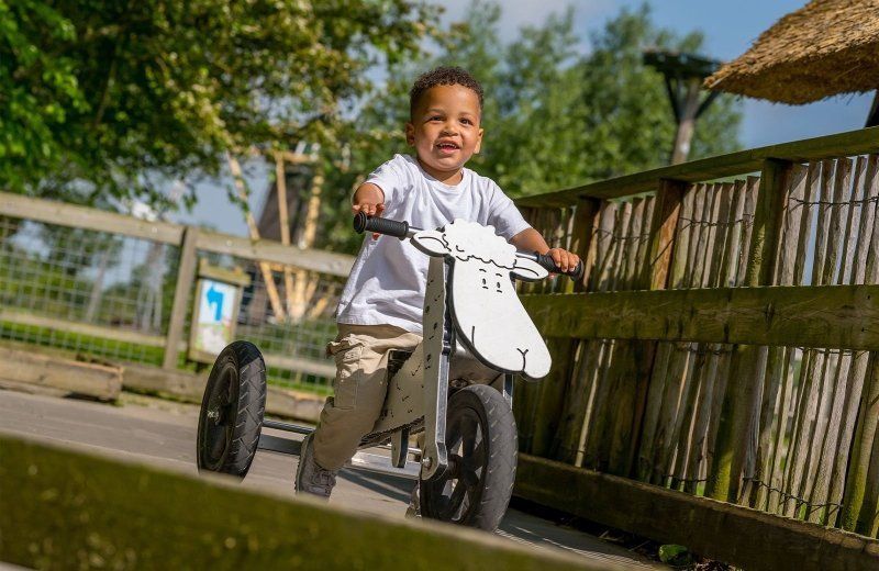 abmw24-05-20233840webformaat